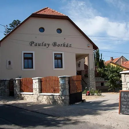 Paulay Borház és
