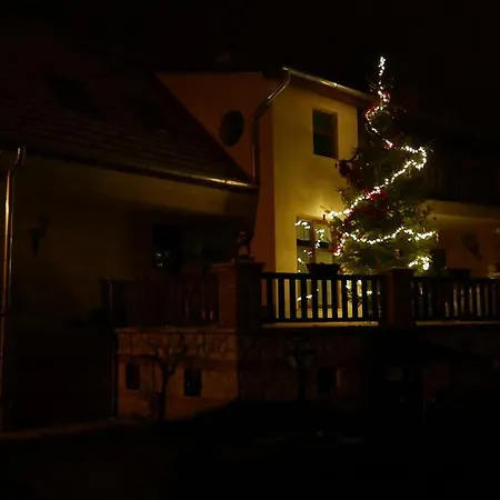 Casa de hóspedes Paulay Borház és *