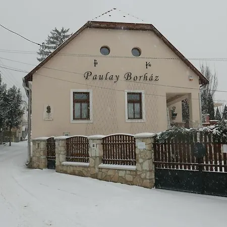 Casa de hóspedes Paulay Borház és Tokaj