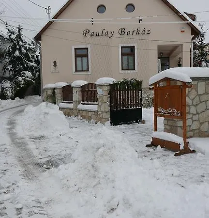 Paulay Borház és Tokaj