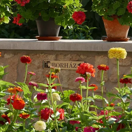 Casa de hóspedes Paulay Borház és Tokaj